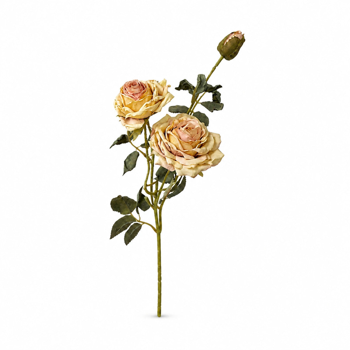 Triple-Bloom Rose Stem