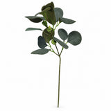 Eucalyptus Foliage Pick, 37 cm