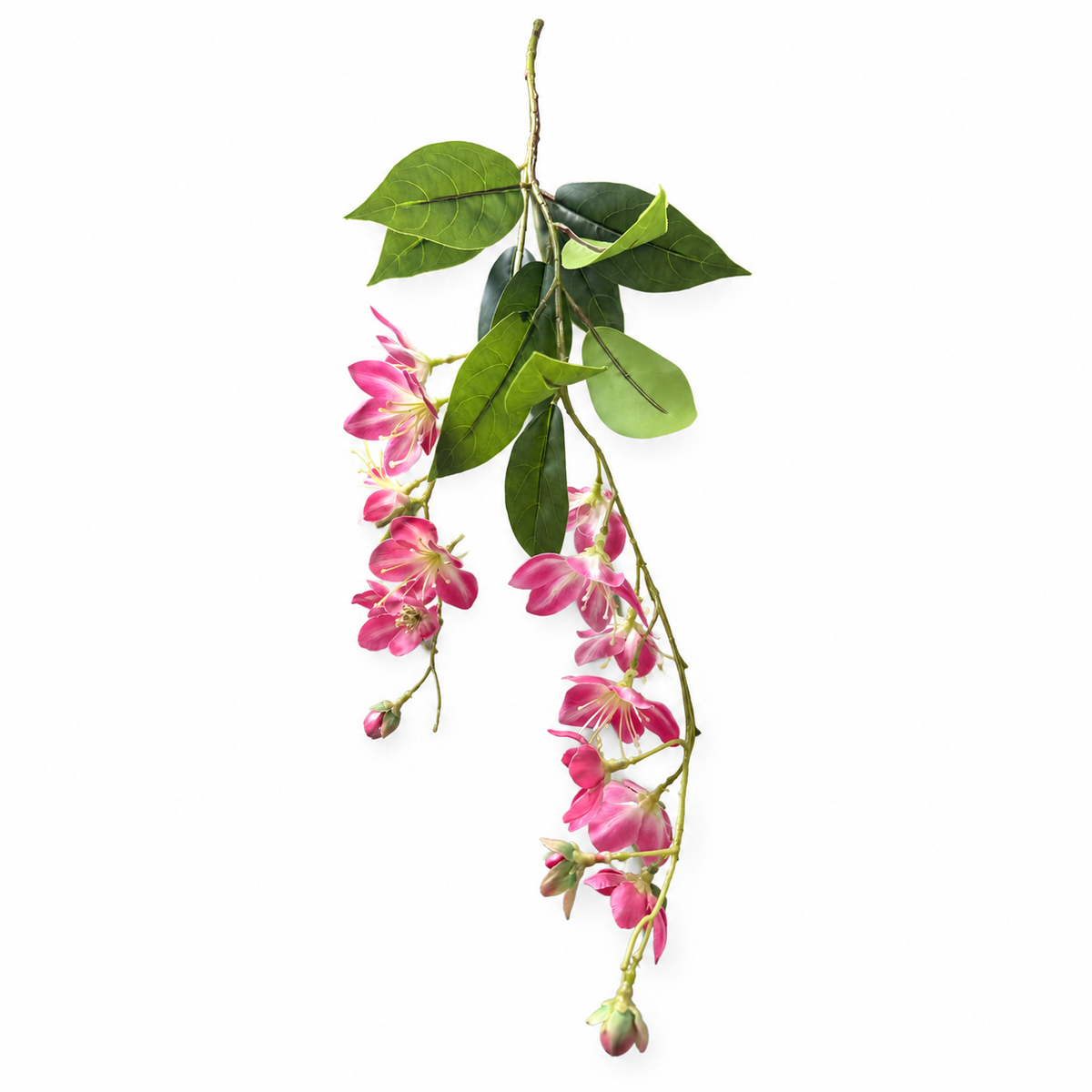 Jasmine-Style Flowering Branch — studio product photo on white