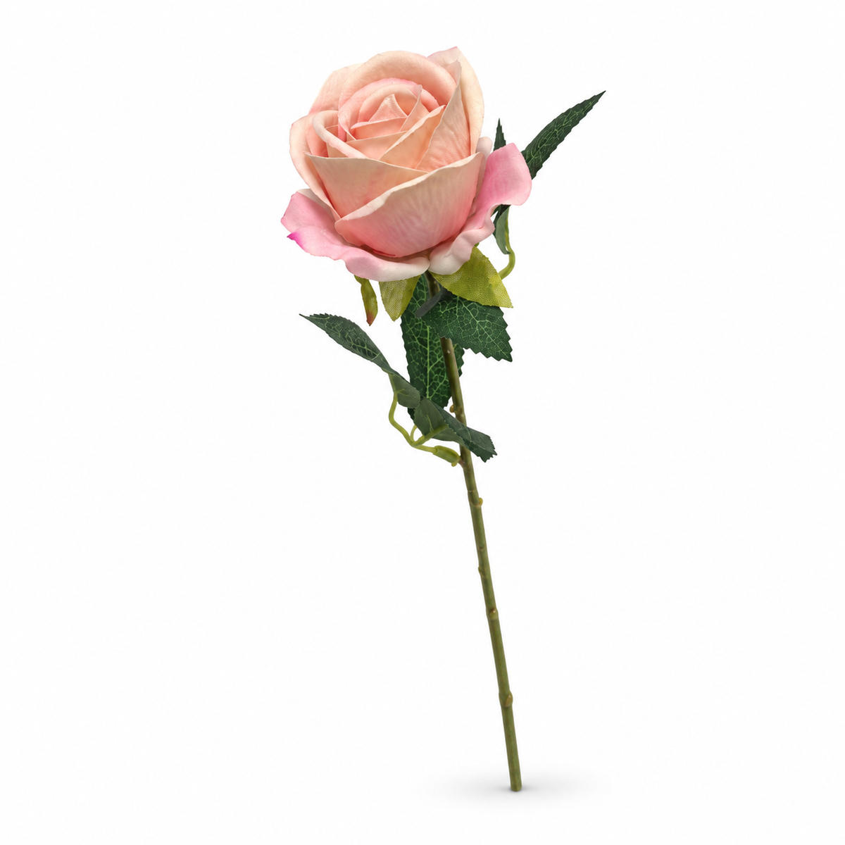 Individual Rose Stem