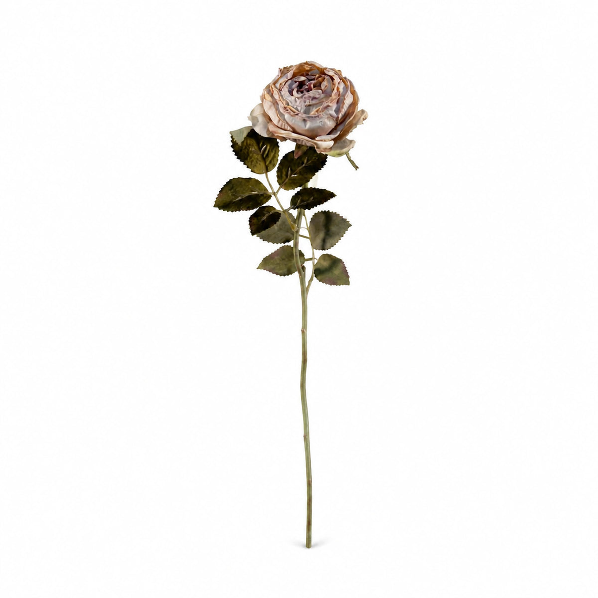Mixed Floral Bouquet, Cream & Vintage Rose — studio view