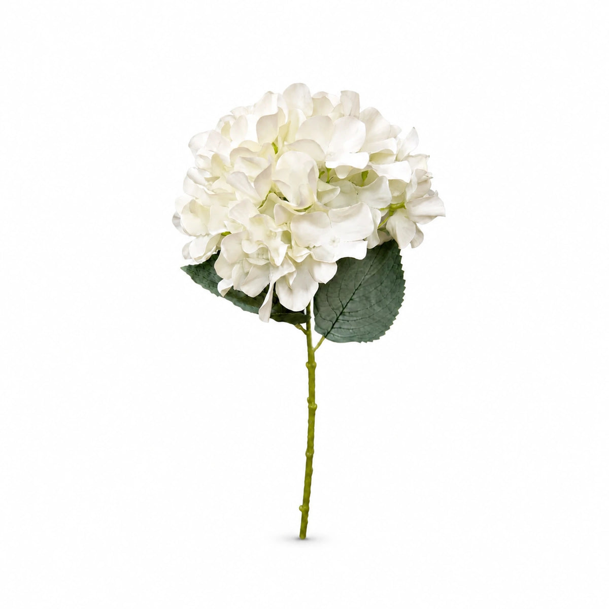 Blush Hydrangea Stem, 31.5 in