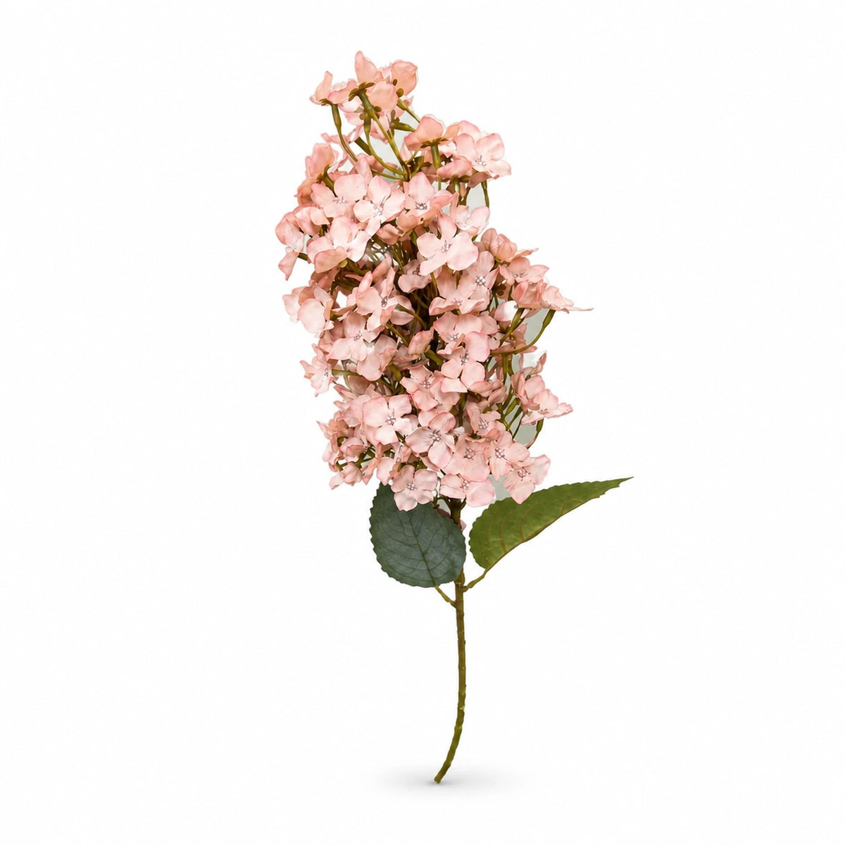 Elongated Hydrangea Stem, 31.5 in