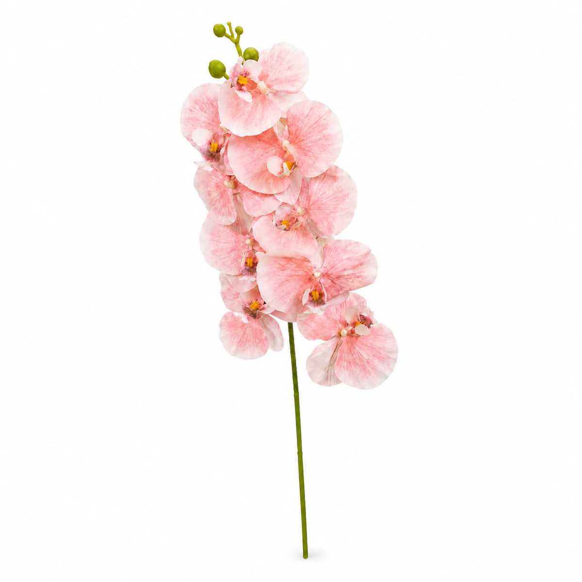 Orchid Spray Stem, Pink, 90 cm