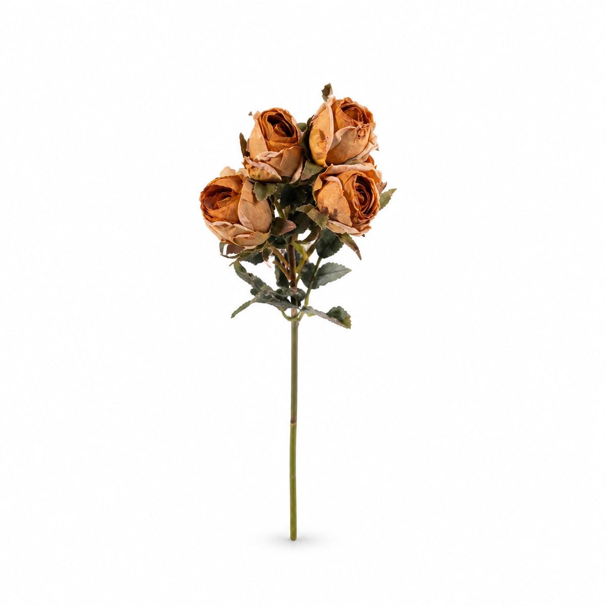 Rose Stem, Terracotta & Burgundy — studio view