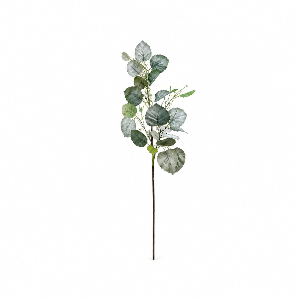 Eucalyptus Foliage Branch, 80 cm