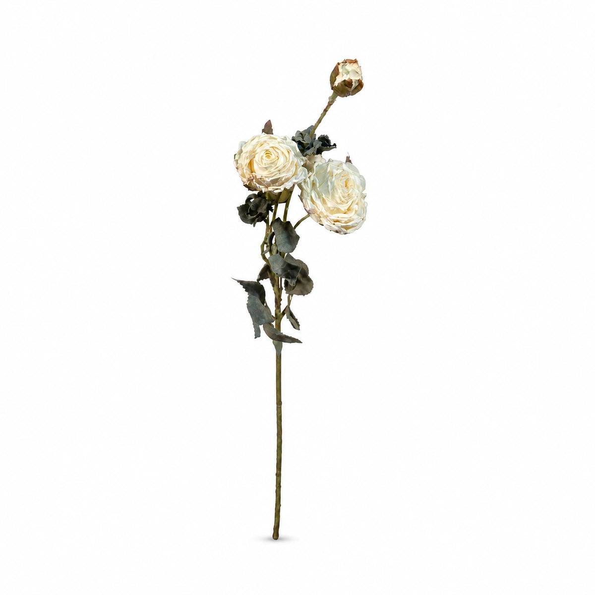 Triple-Bloom Rose Stem — studio view