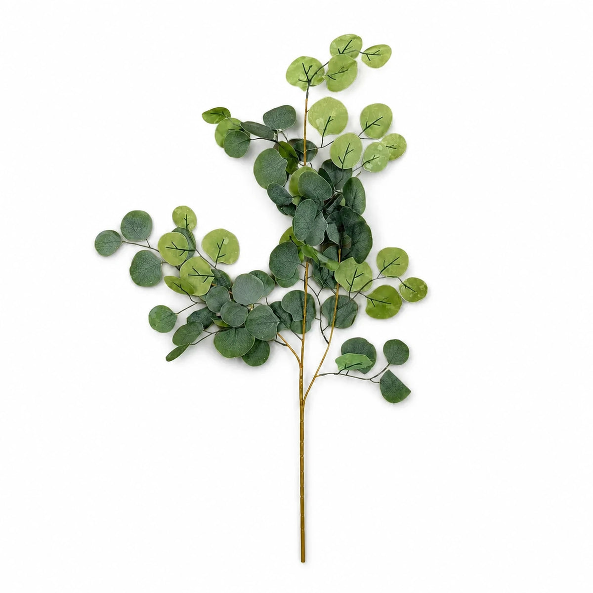 Silver Eucalyptus Branch, 98 cm