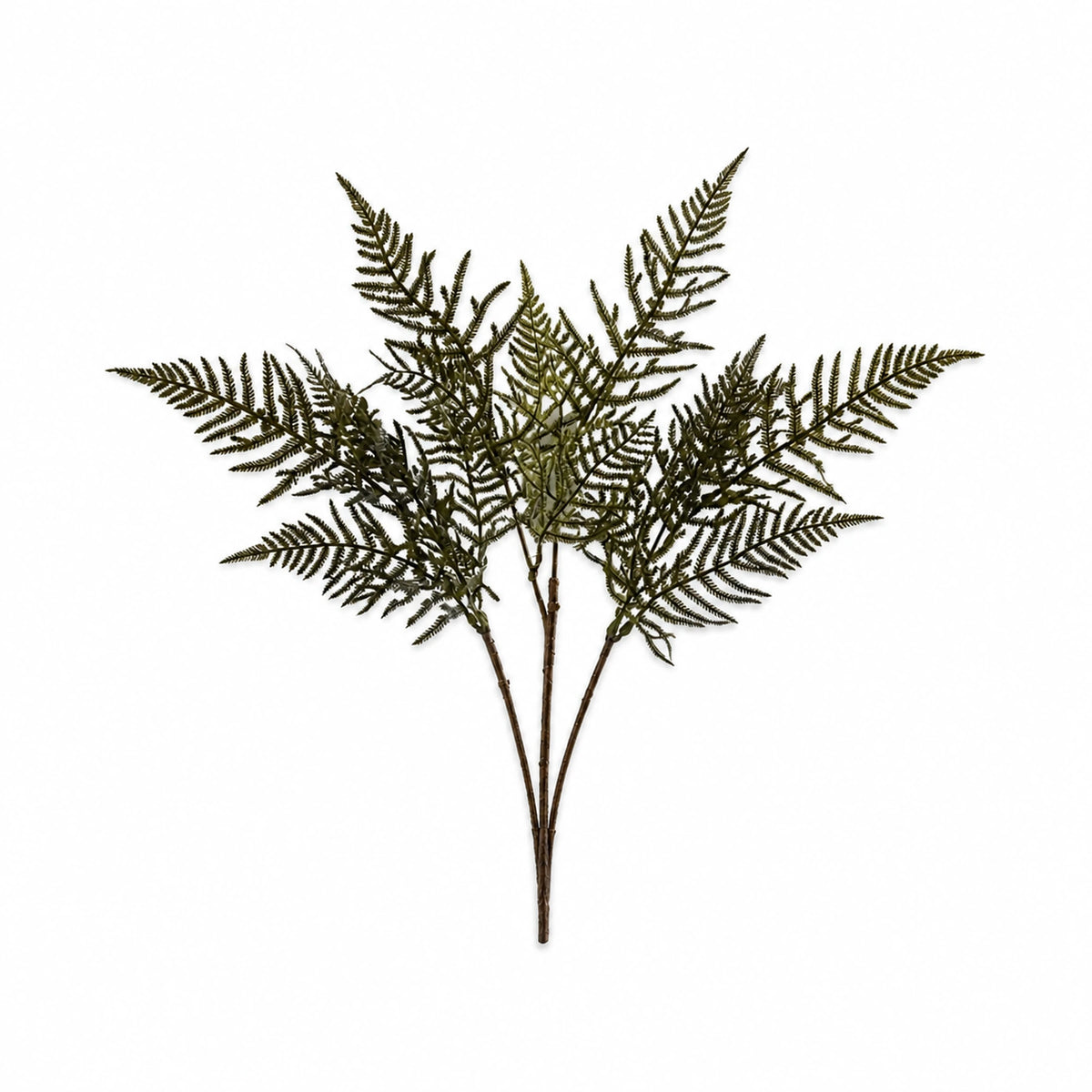 Fern Frond Foliage Spray, 53 cm