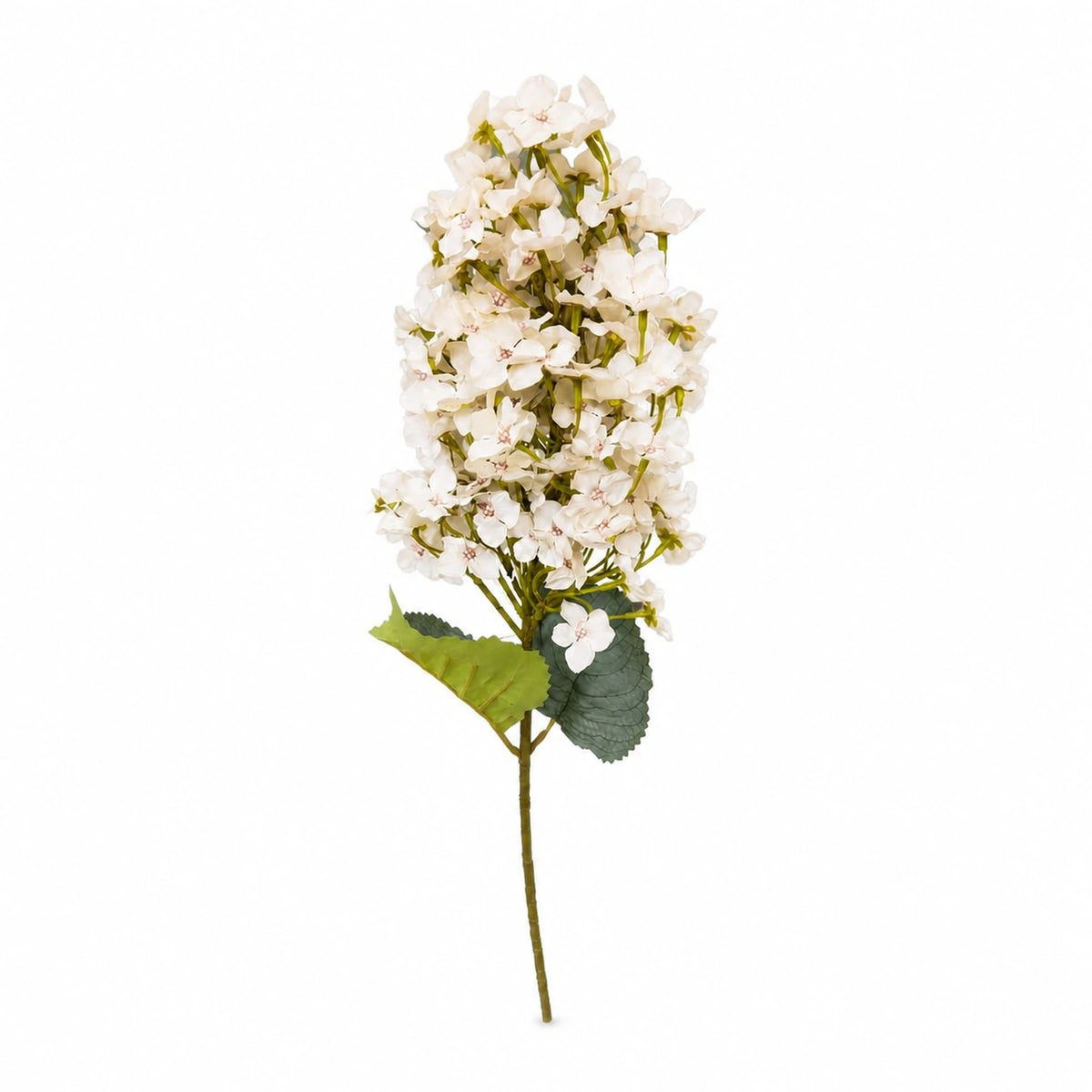 Elongated Hydrangea Stem, 31.5 in — White studio view