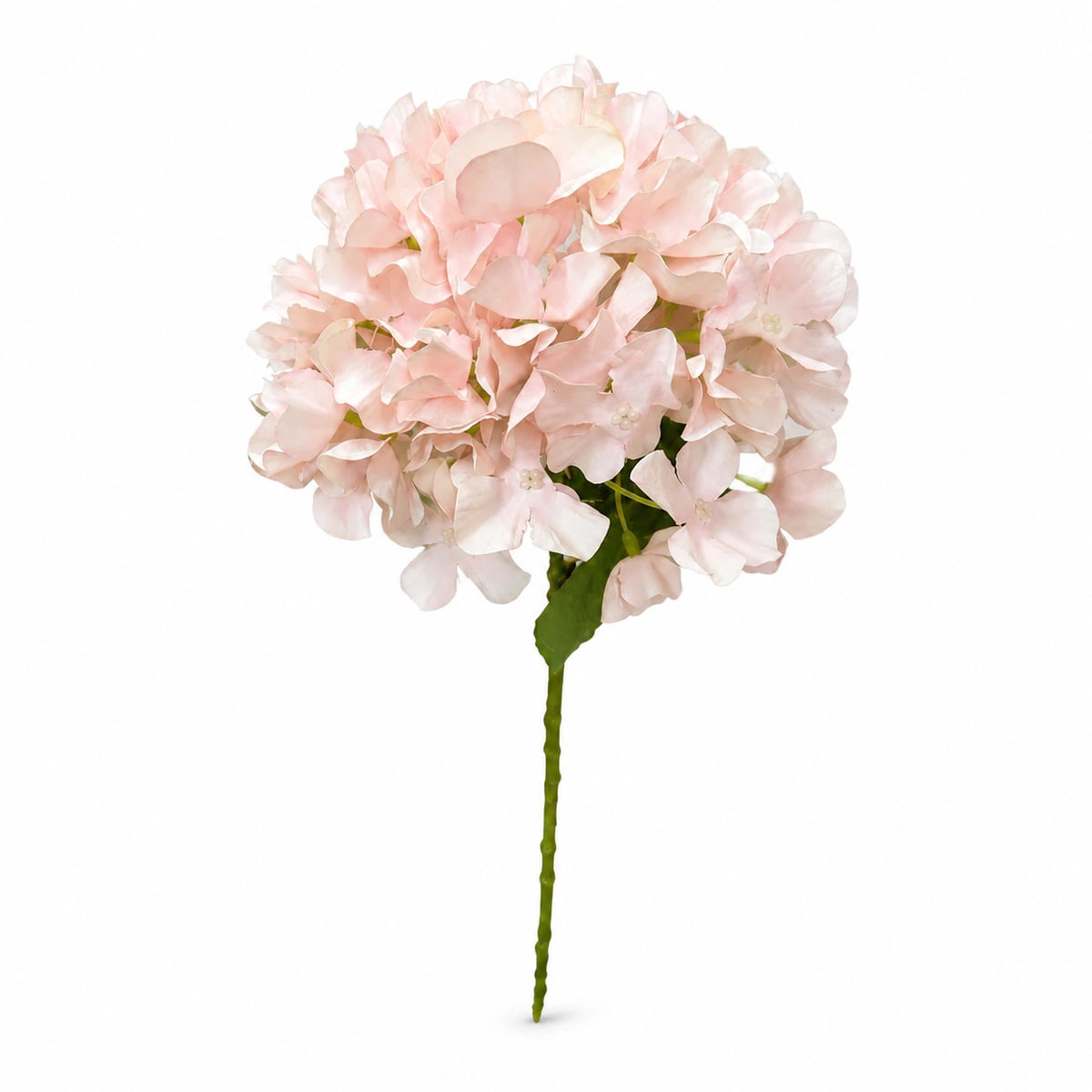 Blush Hydrangea Stem, 31.5 in — Soft Blush Pink studio view