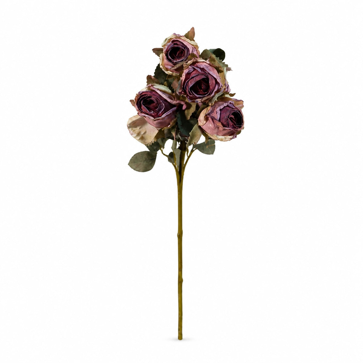 Rosebud Stem, Terracotta Or Burgundy