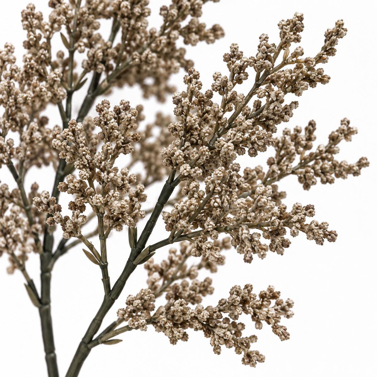 Close-up of the tiny taupe clustered blooms, branching stems and green leaflets of EVERLA's artificial baby's breath filler bush.