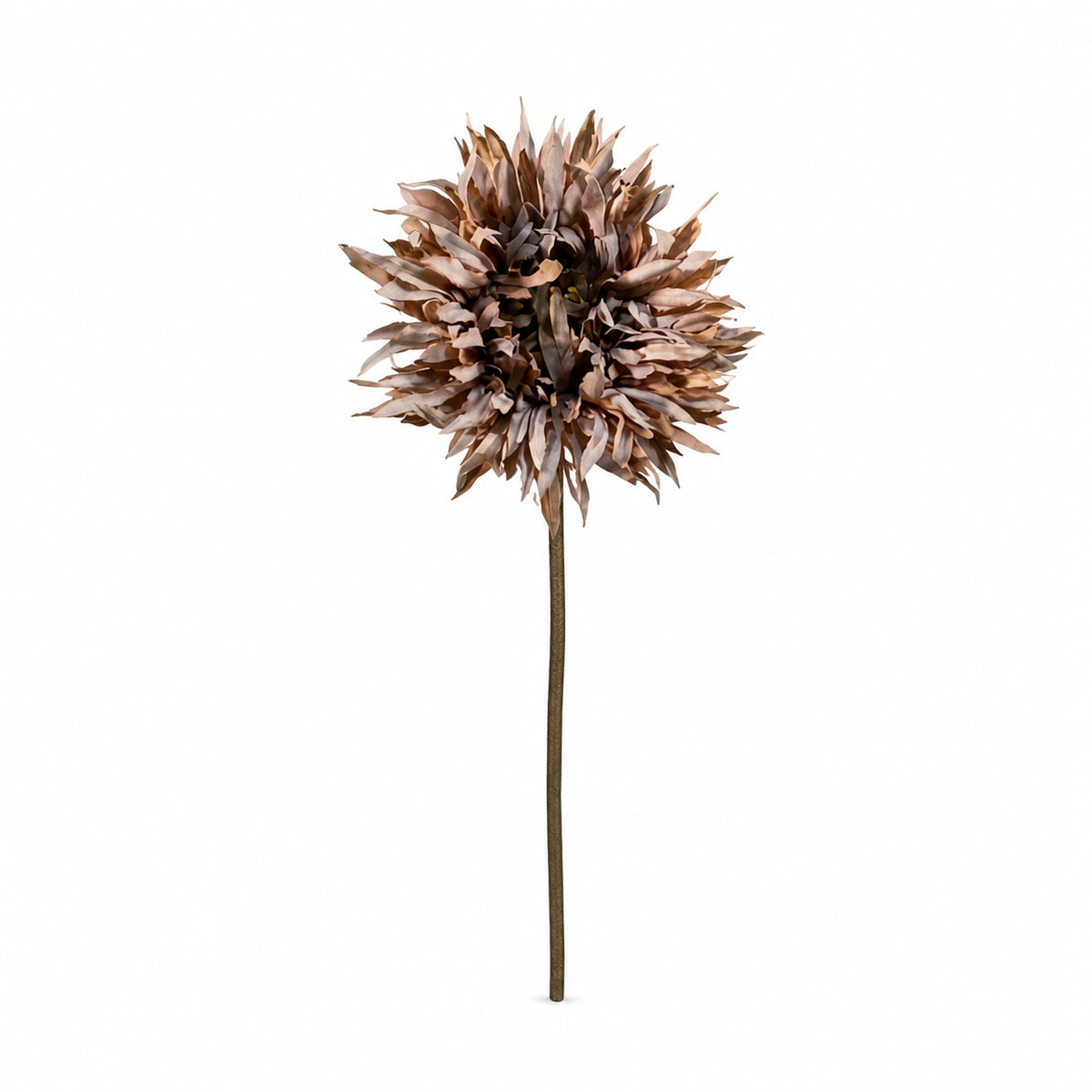 Gerbera Daisy Stem — Warm Cinnamon studio view