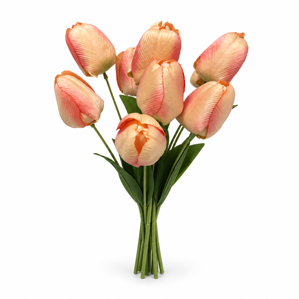 Tulip Bouquet, 9 Heads — Peach — studio product photo on white