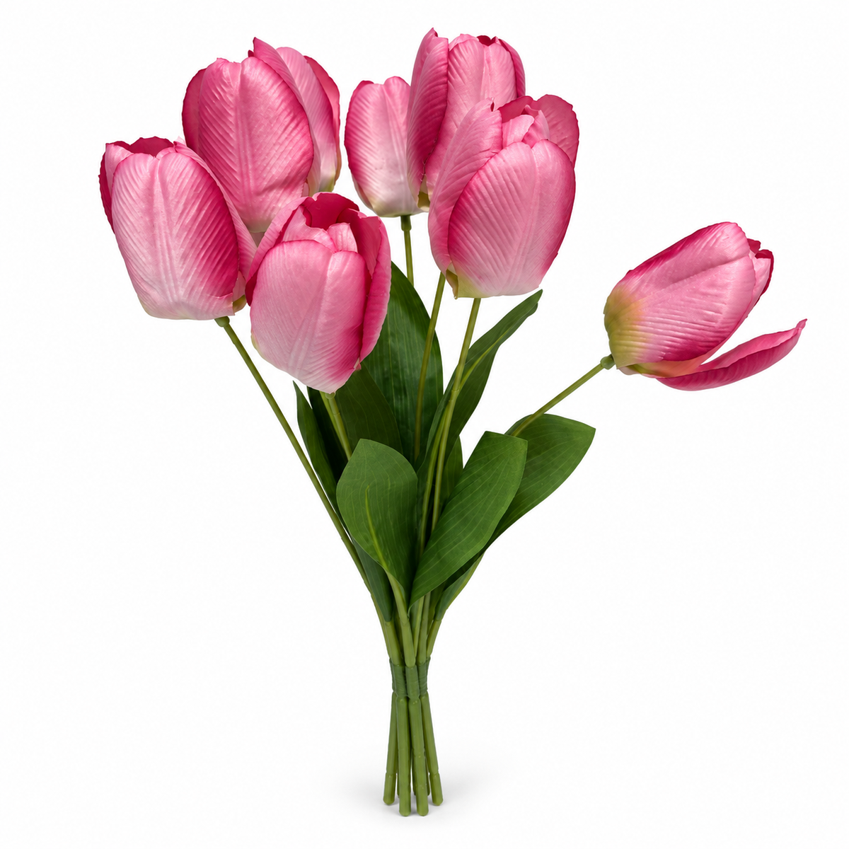 Tulip Bouquet, 9 Heads — Fuchsia — studio product photo on white