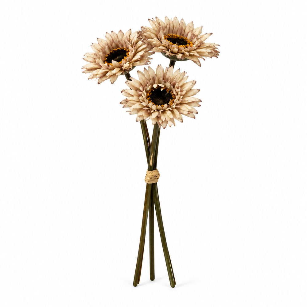 Gerbera Posy, 3 Heads, 26 cm — Beige — studio photo on white