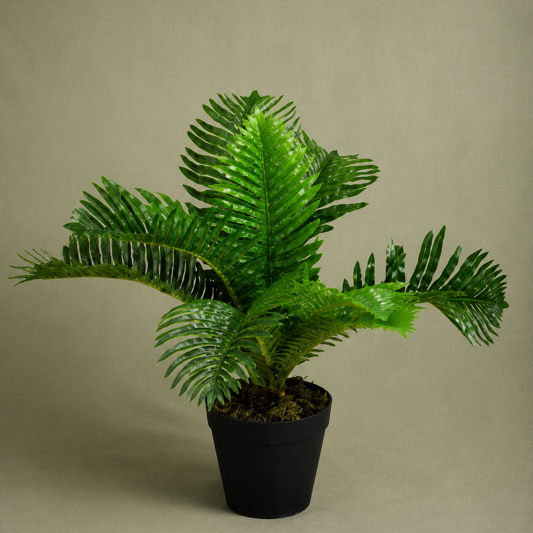 Compact Palm Tree with Pot