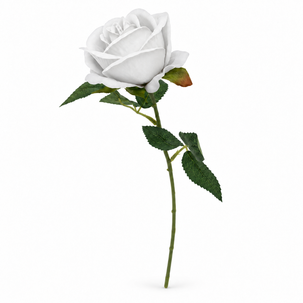 Individual Rose Stem