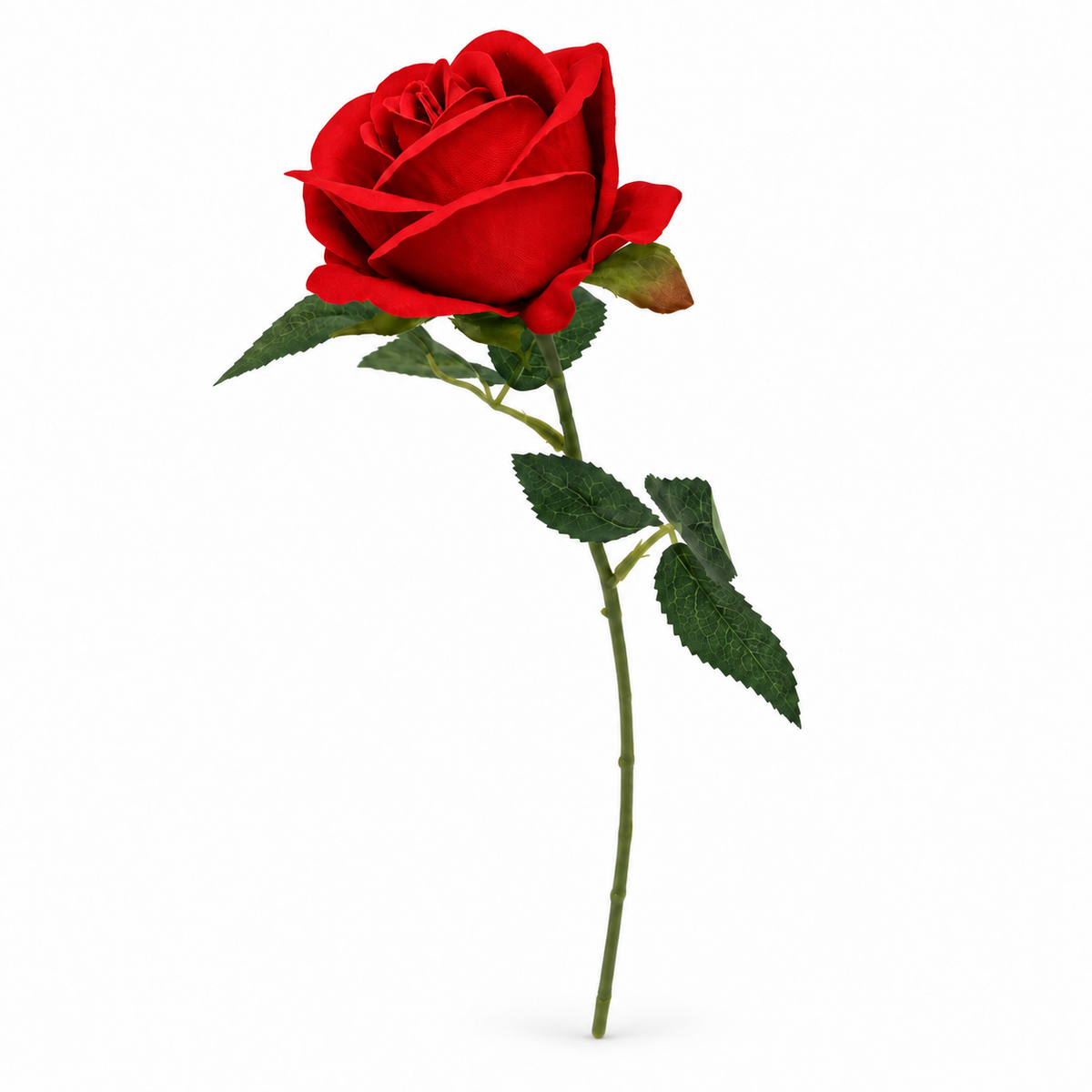 Individual Rose Stem