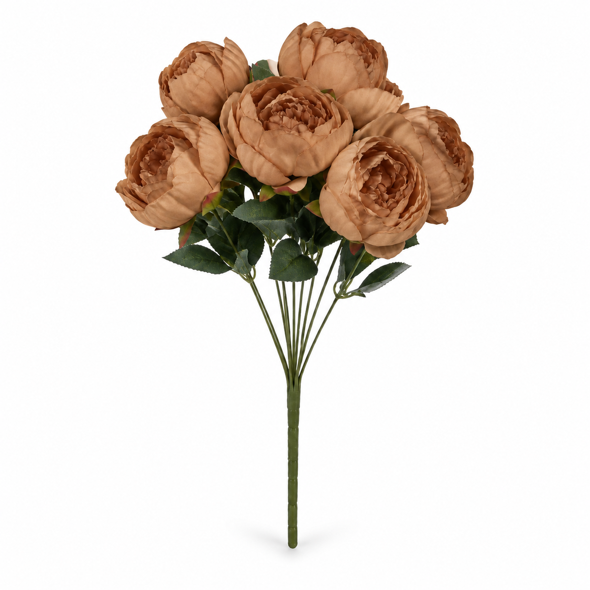 Peony-Style Garden Rose Bouquet — Cinnamon — studio product photo on white