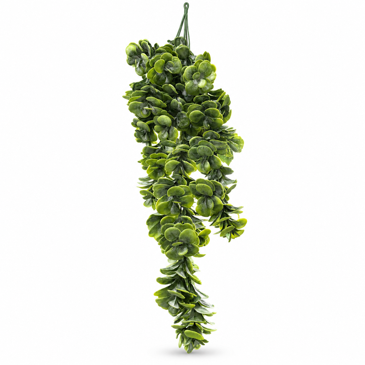 Hanging Eucalyptus Bush, 45 Branches