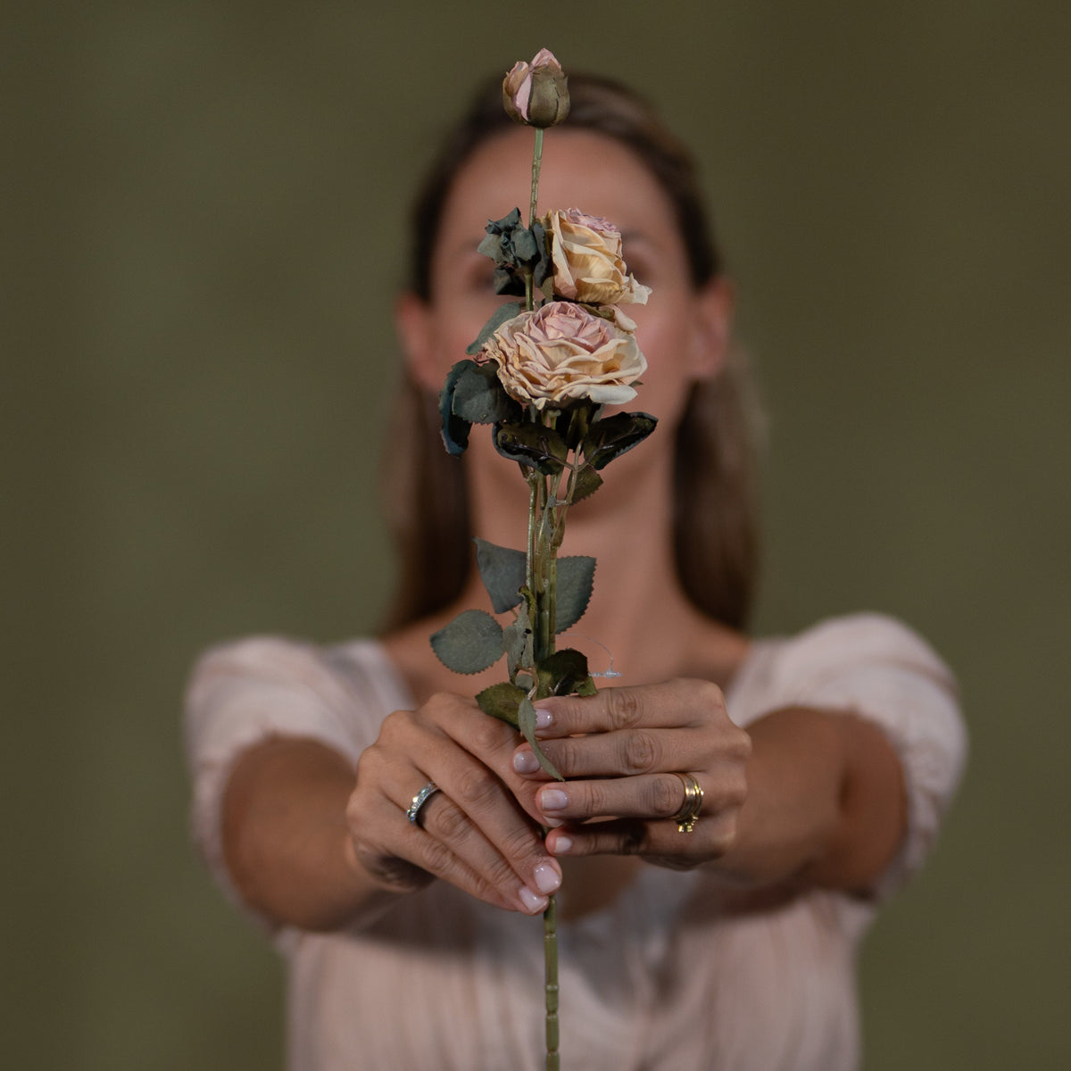 Triple-Bloom Rose Stem