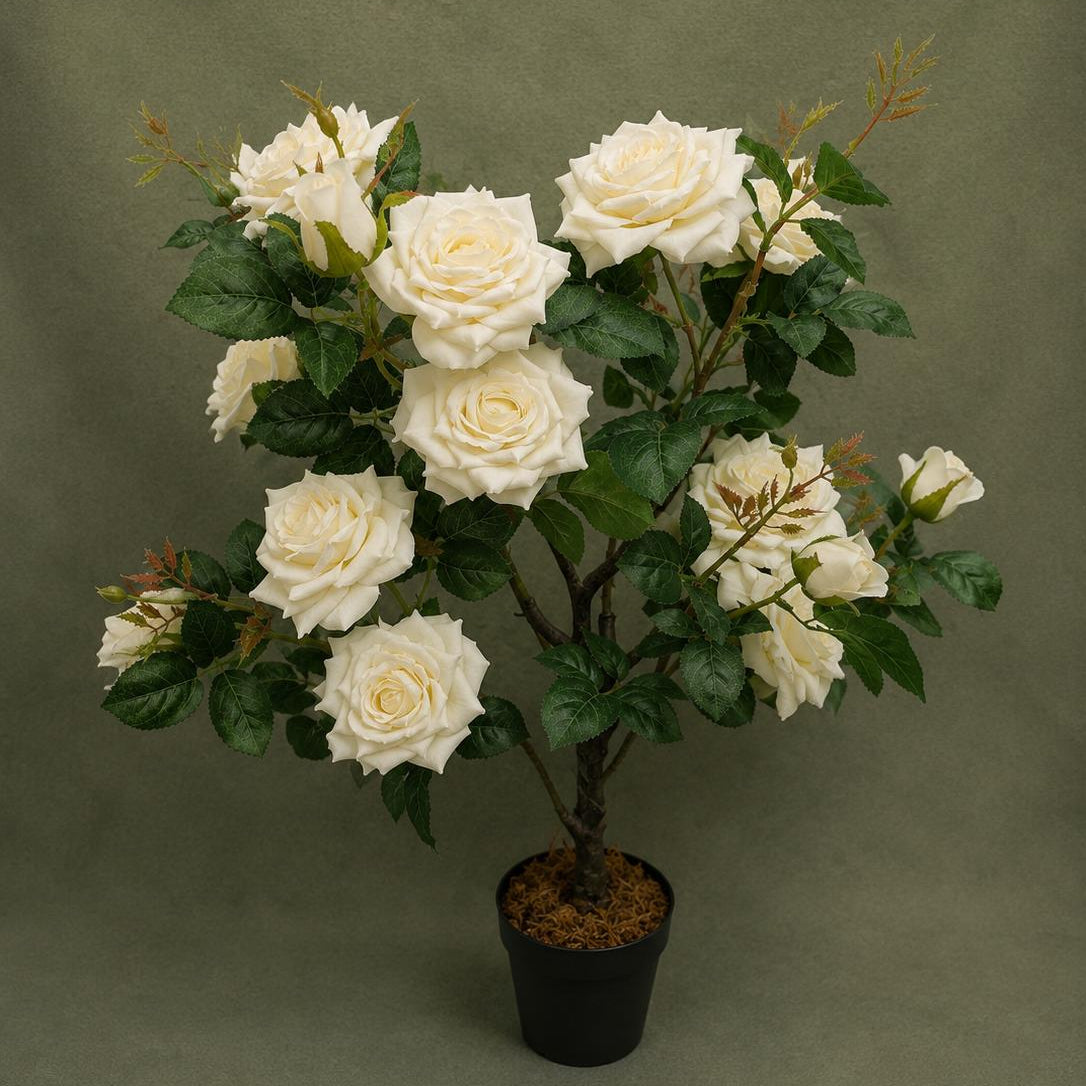 White Rose Tree in Pot, 31.5 in