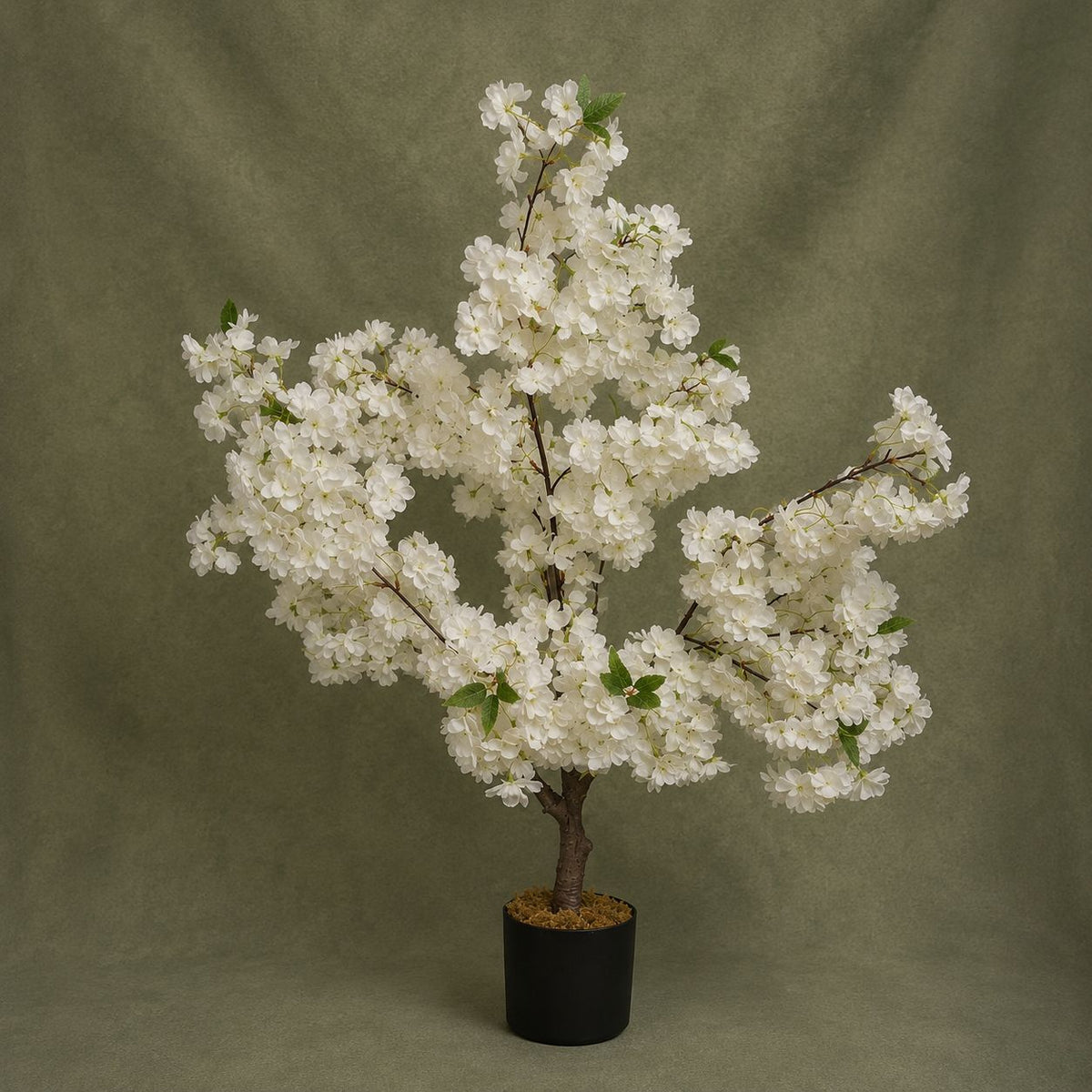 White Blossom Tree with Pot