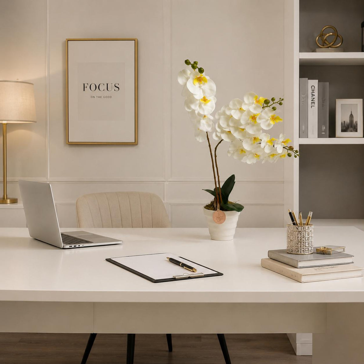 White Phalaenopsis Orchid, Potted