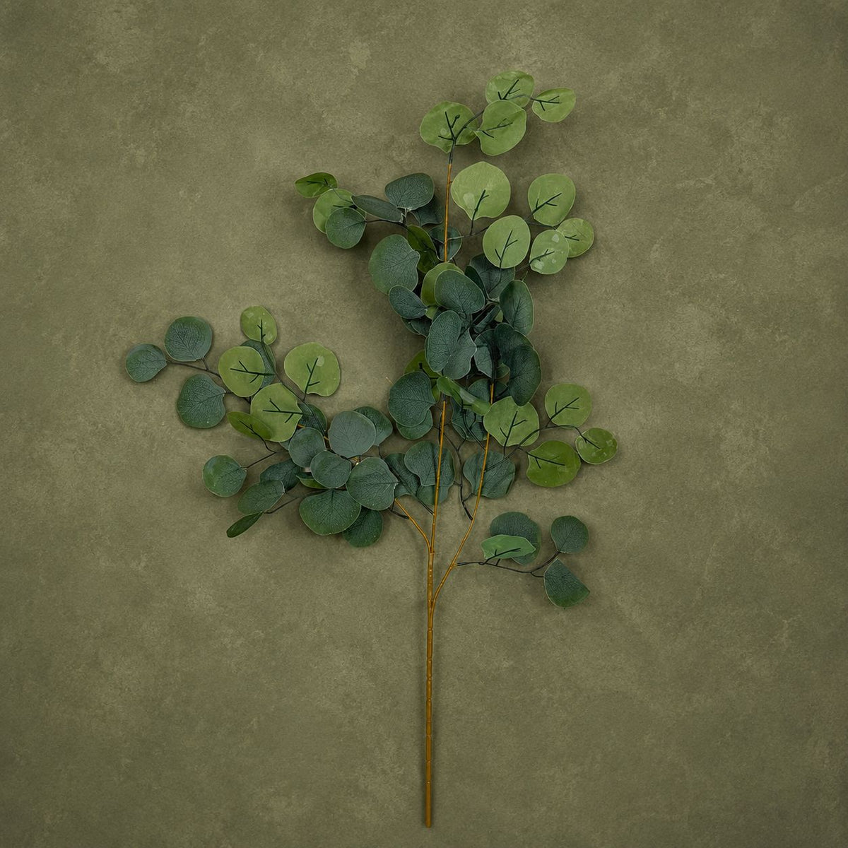 Eucalyptus Foliage Stem