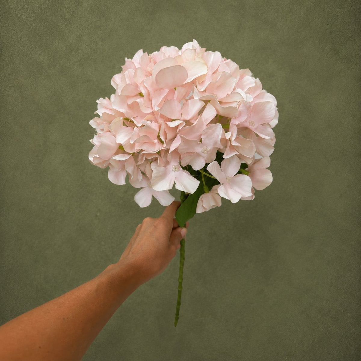 Blush Hydrangea Stem, 31.5 in