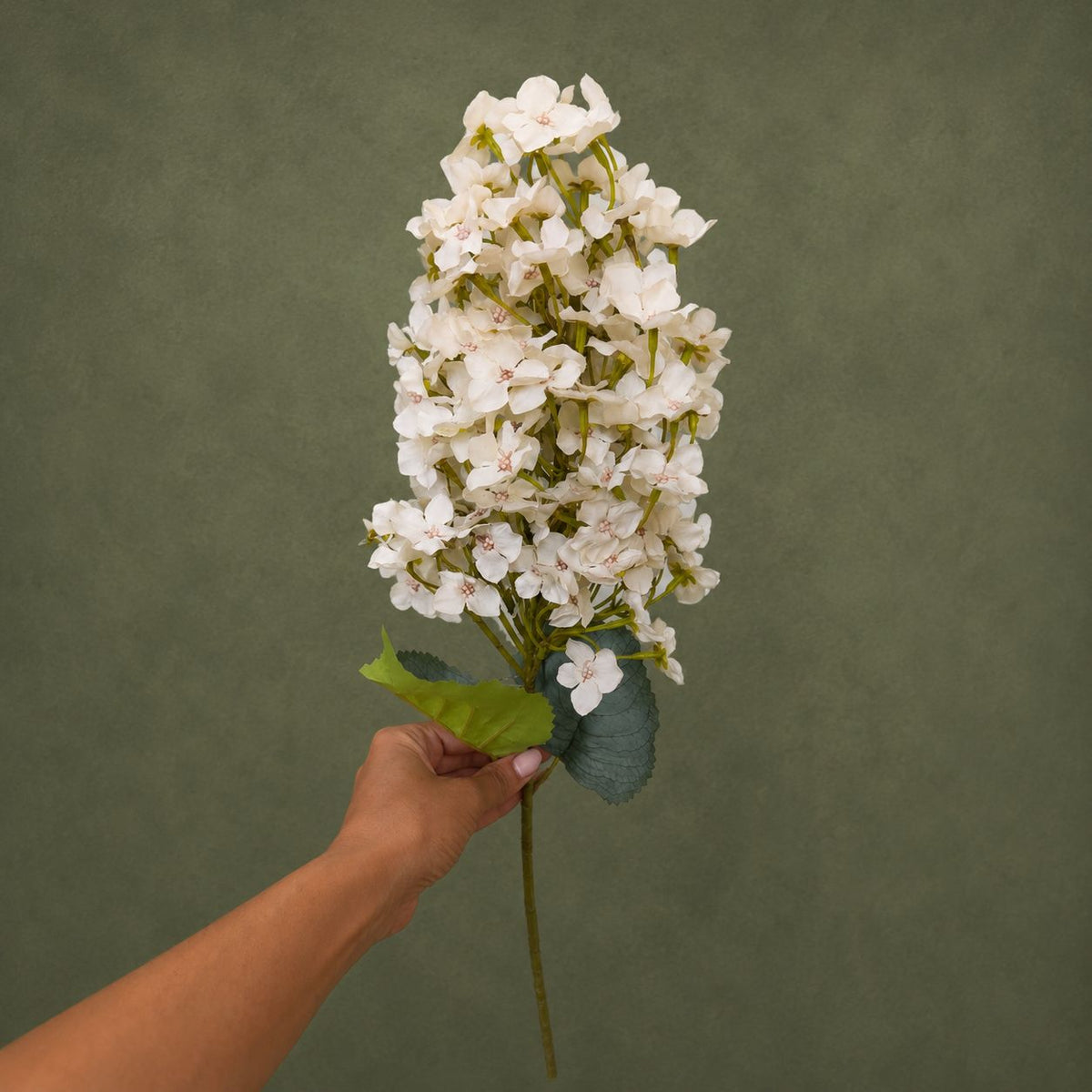 Elongated Hydrangea Stem, 31.5 in