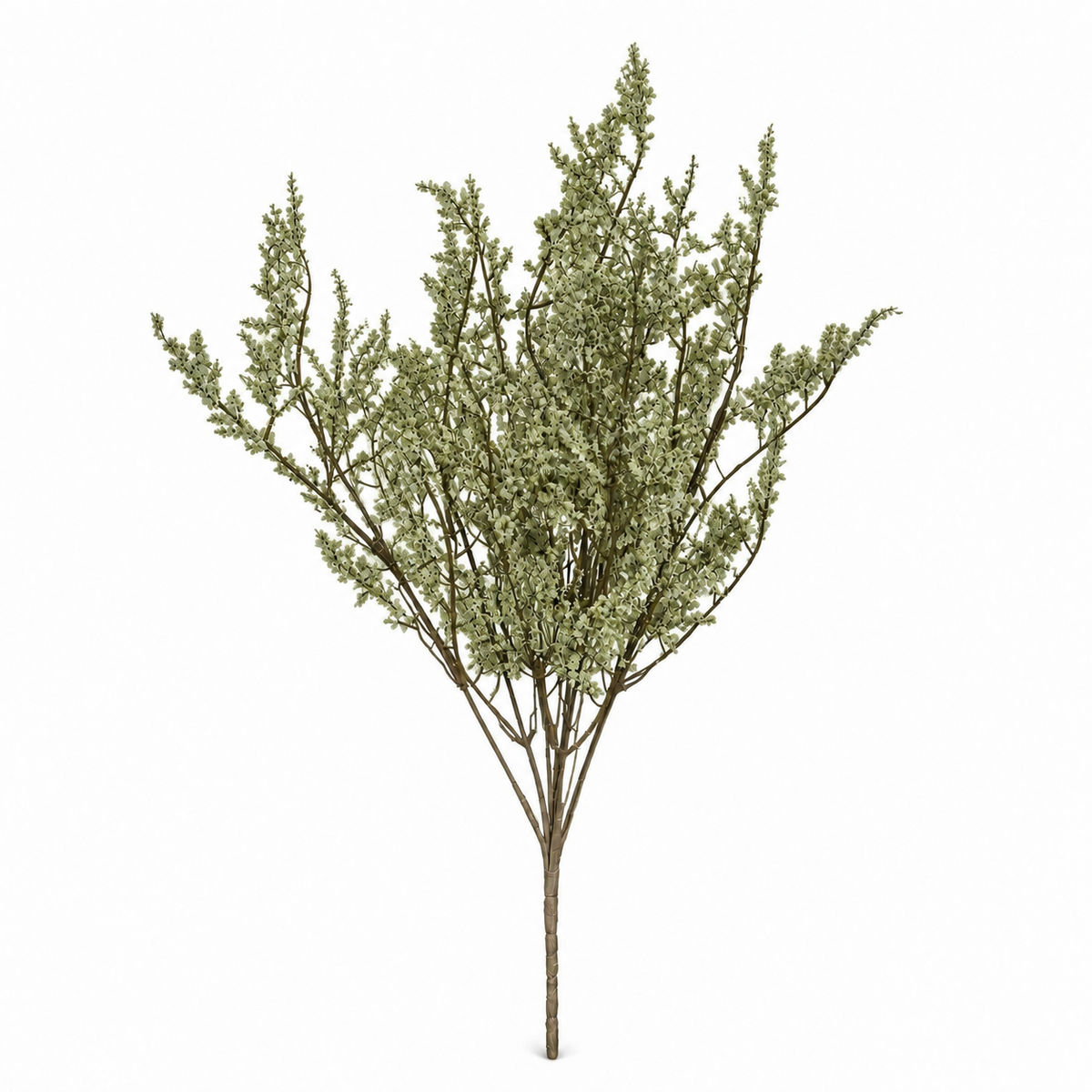 Baby's Breath Bush, 35 cm — Green — studio photo on white