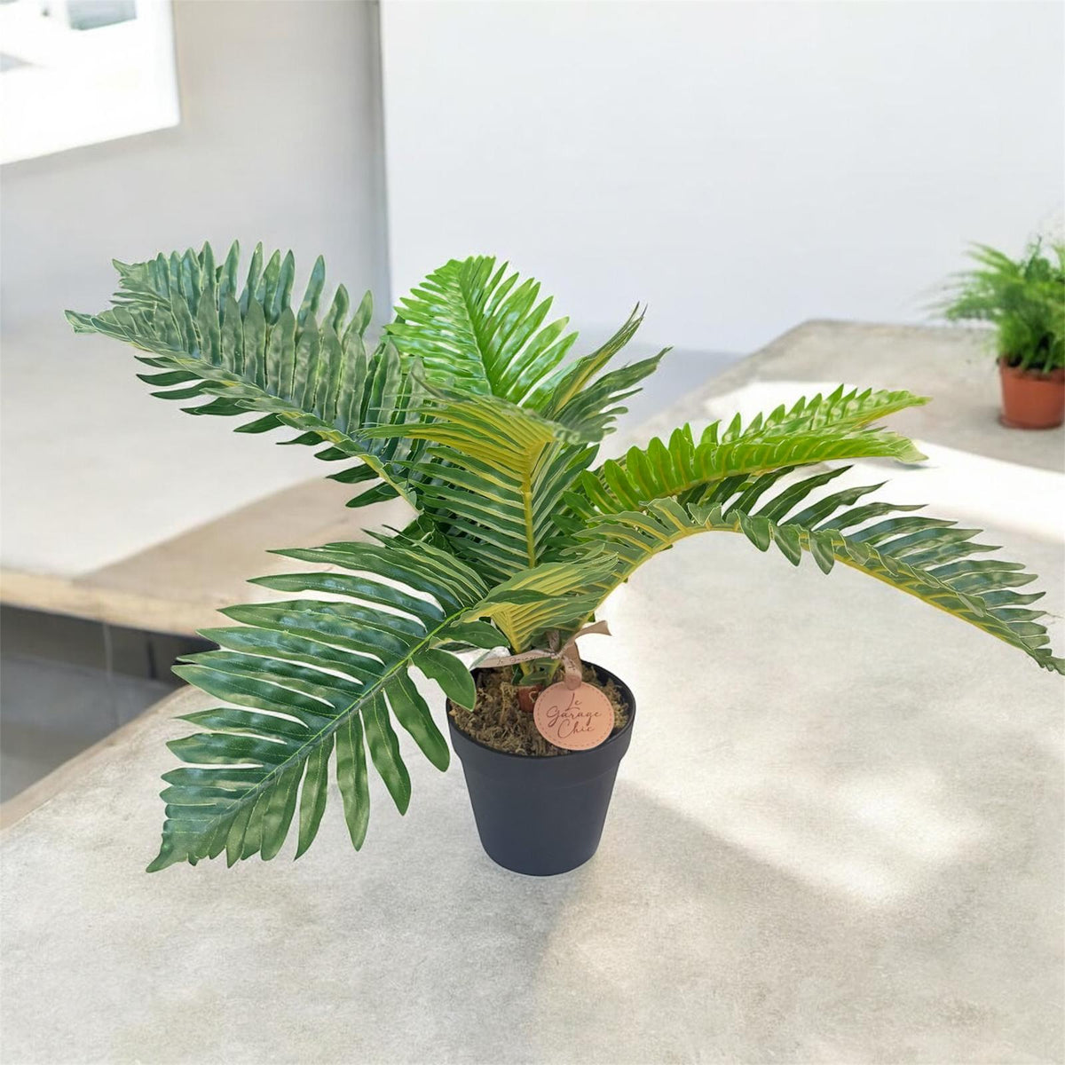 Compact Palm Tree with Pot