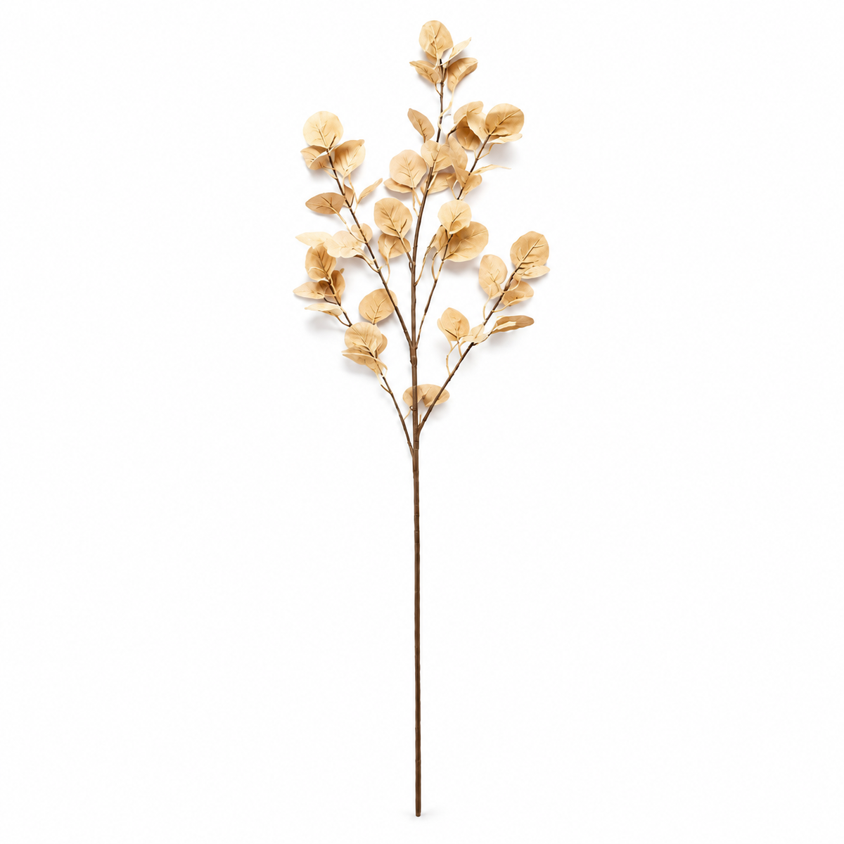 Eucalyptus-Style Foliage Branch, 90 cm — Cream — single branch on white