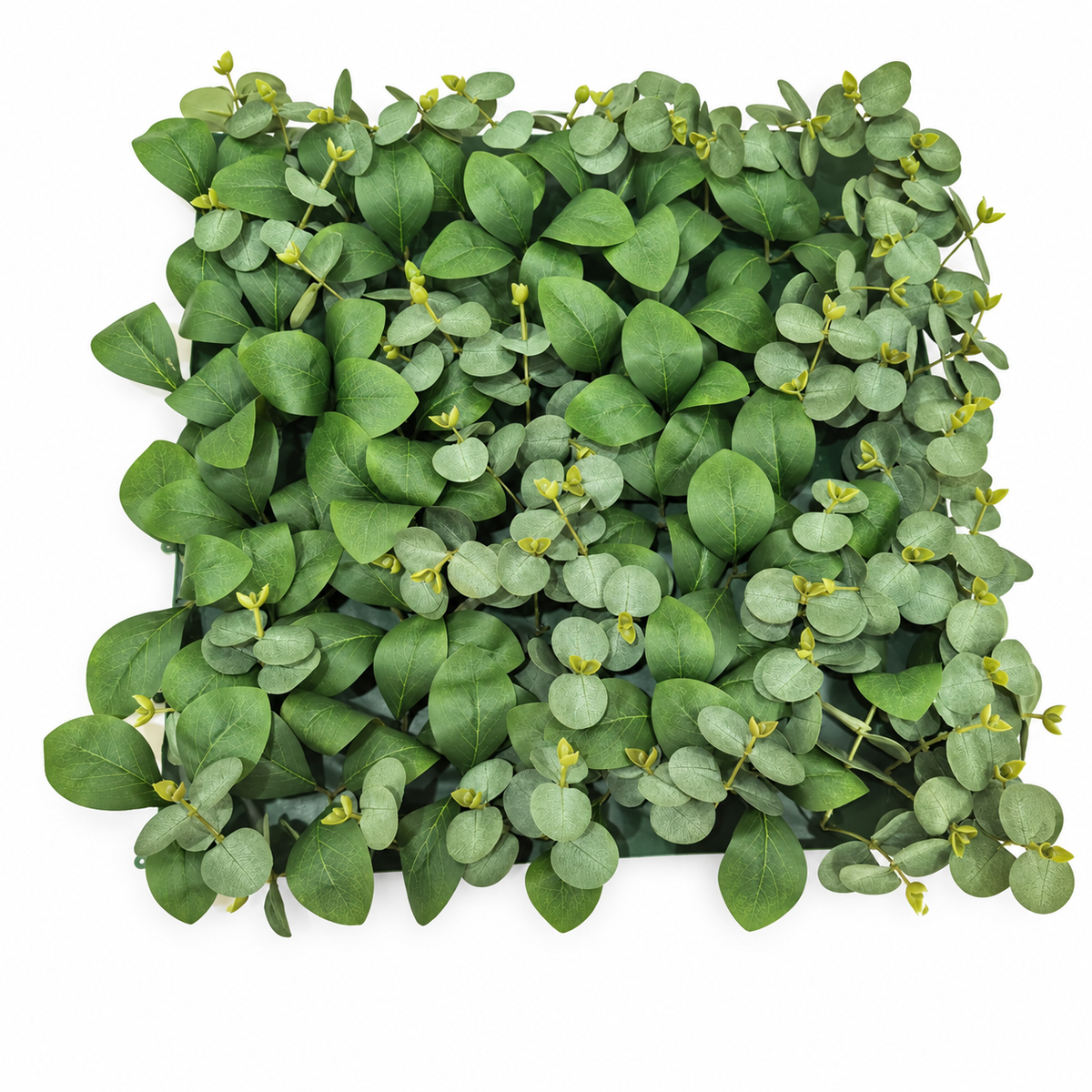Foliage Wall Panel • 20 x 20 inches