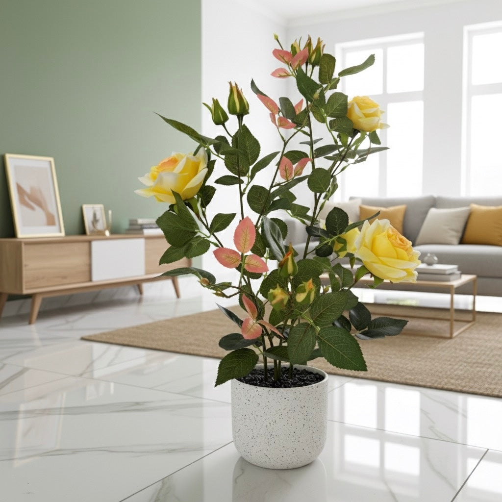 Yellow Rose Tree in Pot